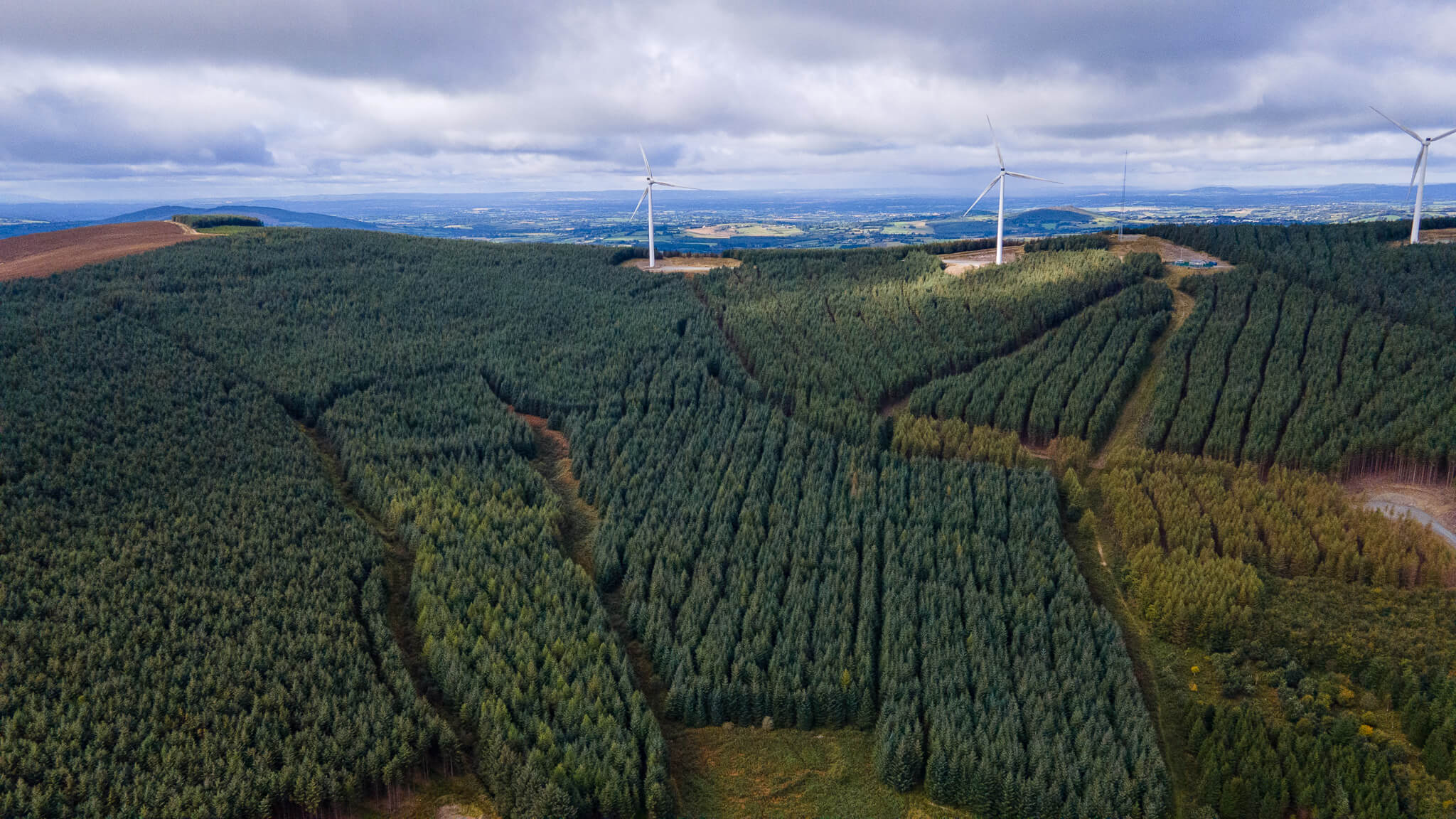 Over 1,300 acres of forestry land for sale offering stable returns while promoting environmental sustainability.